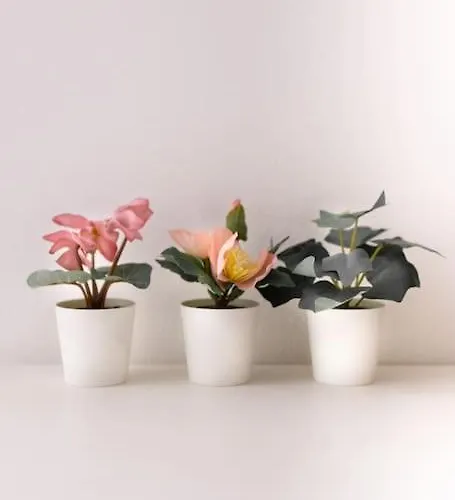 Lafilo 1 Apartament Mediolan